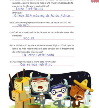 Libro Contestado Sexto Español : Desafios Matematicos Sexto Grado Libro Resuelto Tareas Cicloescolar