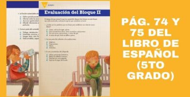 Quinto Grado Archivos Libros Contestados